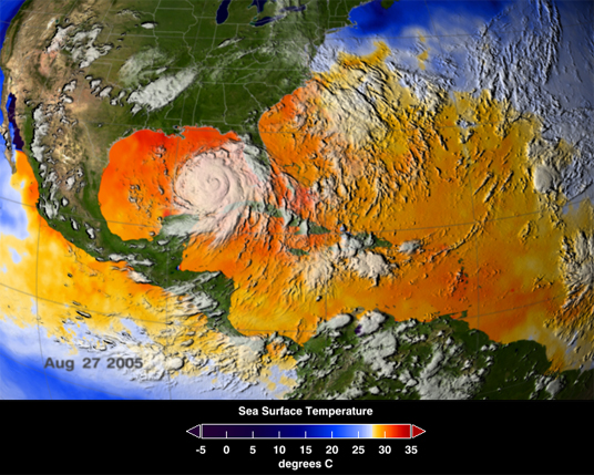 AMSR-E Sea Surface Temperature