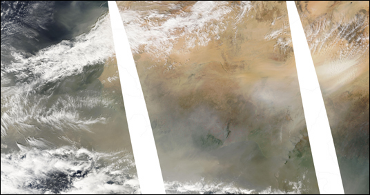 Dust Storm off the Western Sahara Coast