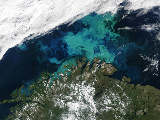 Spectacular Bloom in the Barents Sea