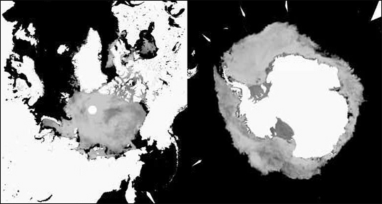 Variation of sea ice concentration around the North and South Pole