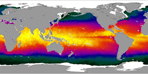 Aqua's Look at Sea Surface Temperature May 1, 2003